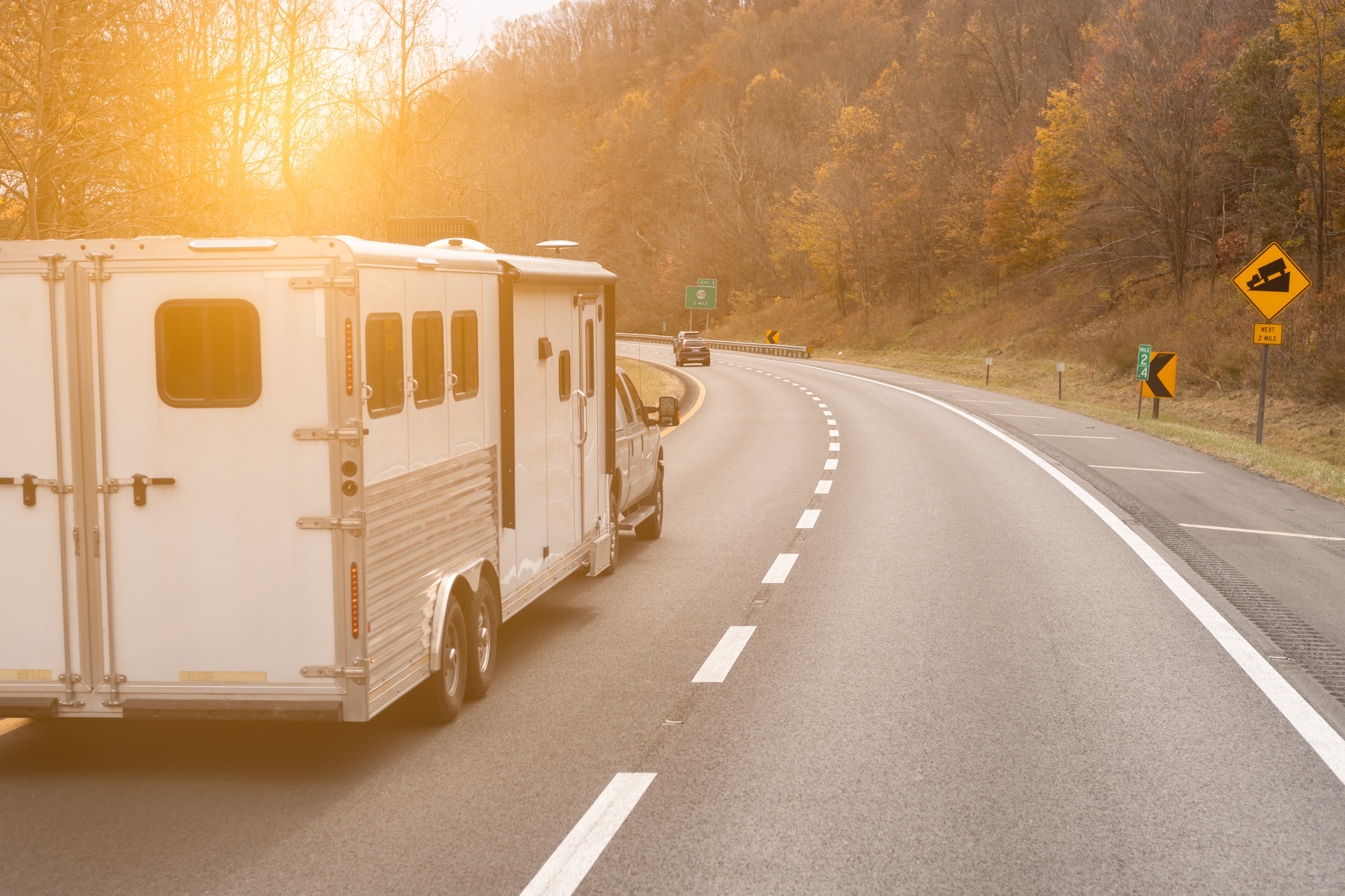 Should Your Horse Wear a Fly Mask While Shipping? Here’s What to Know