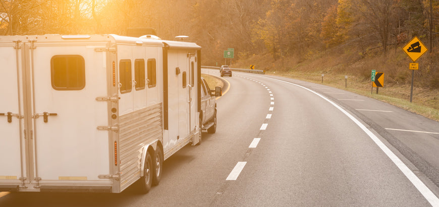 Should Your Horse Wear a Fly Mask While Shipping? Here’s What to Know