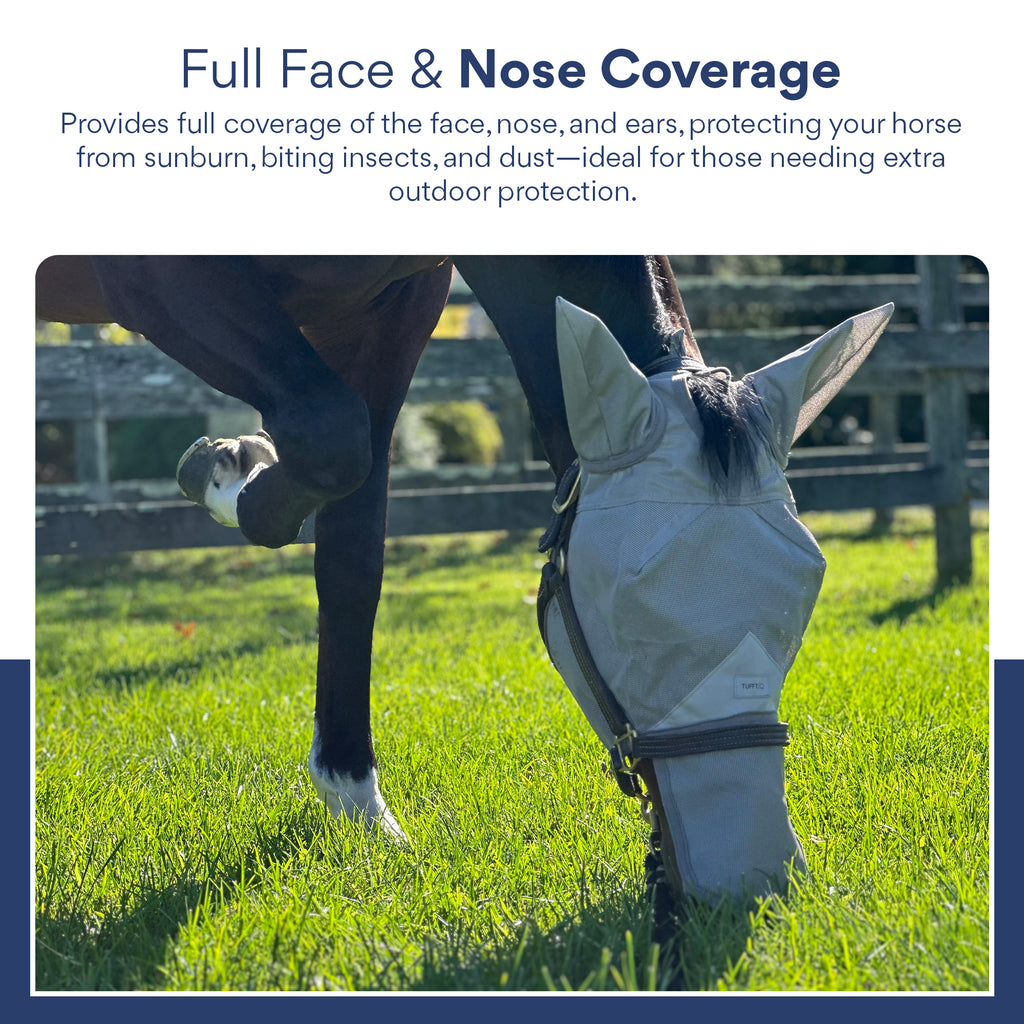 Miniature horse fly mask with visor and ear protection, ensuring optimal comfort and durability in rigorous outdoor conditions.