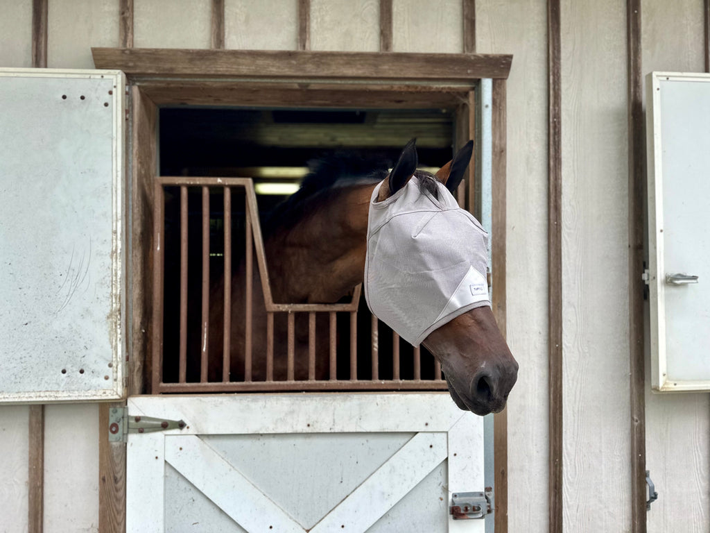 Best plus-size fly mask for horses without ears – soft and durable mesh