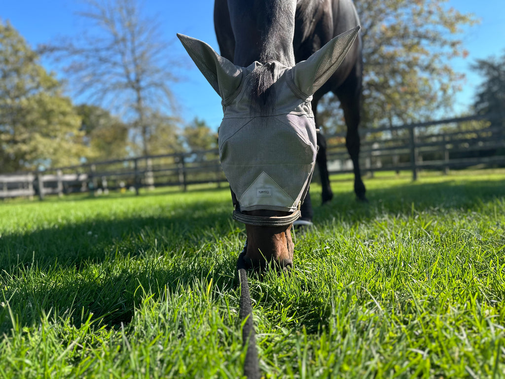Adjustable horse fly mask with ear covers, designed for Arabian horses, offering lightweight comfort and built-in hanging hook for easy storage.