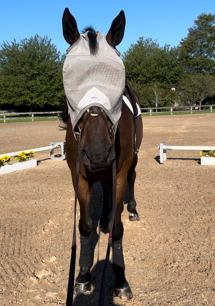 Oversized horse fly mask for comfort and protection without ear covers