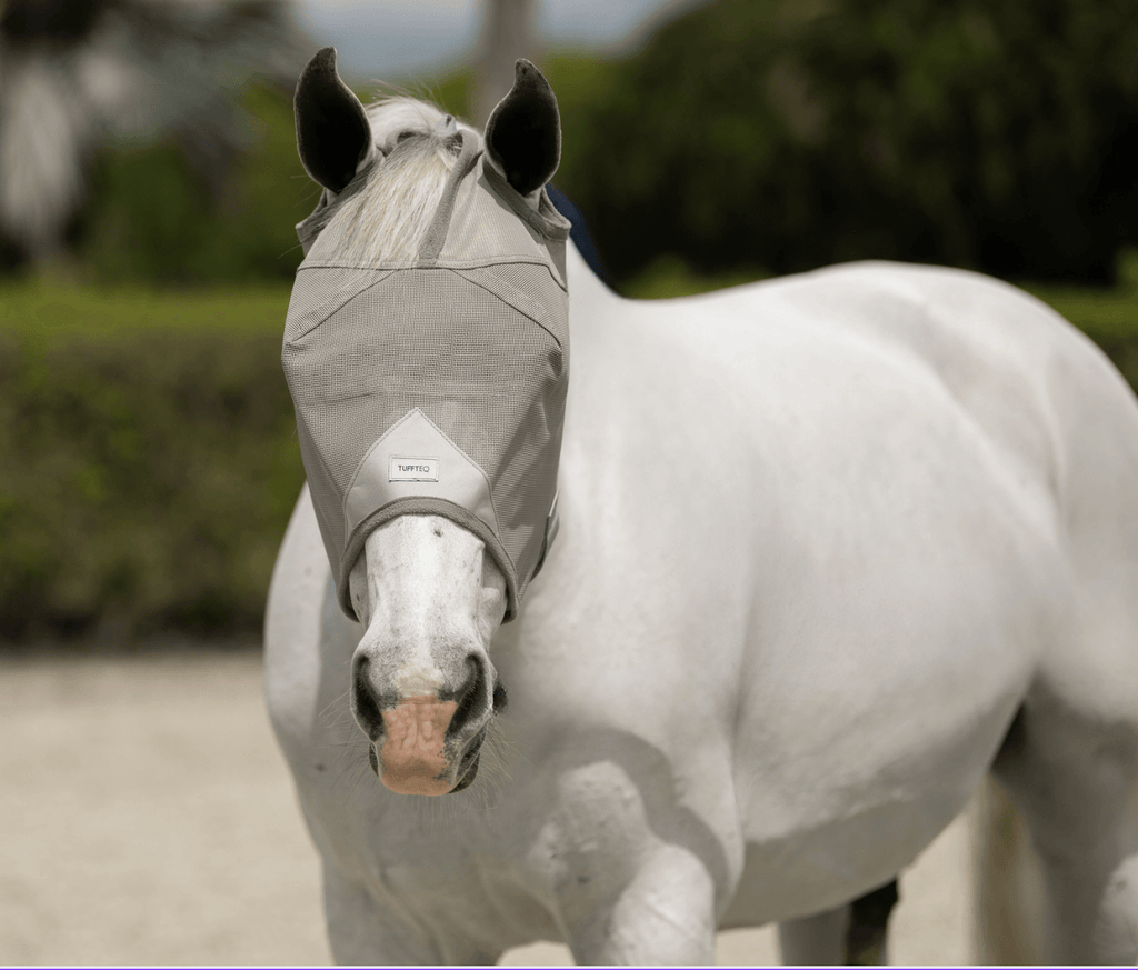 Durable horse fly mask with ears and built-in visor, designed to protect against flies, pests, and sunlight, ideal for miniature horses and outdoor activities.