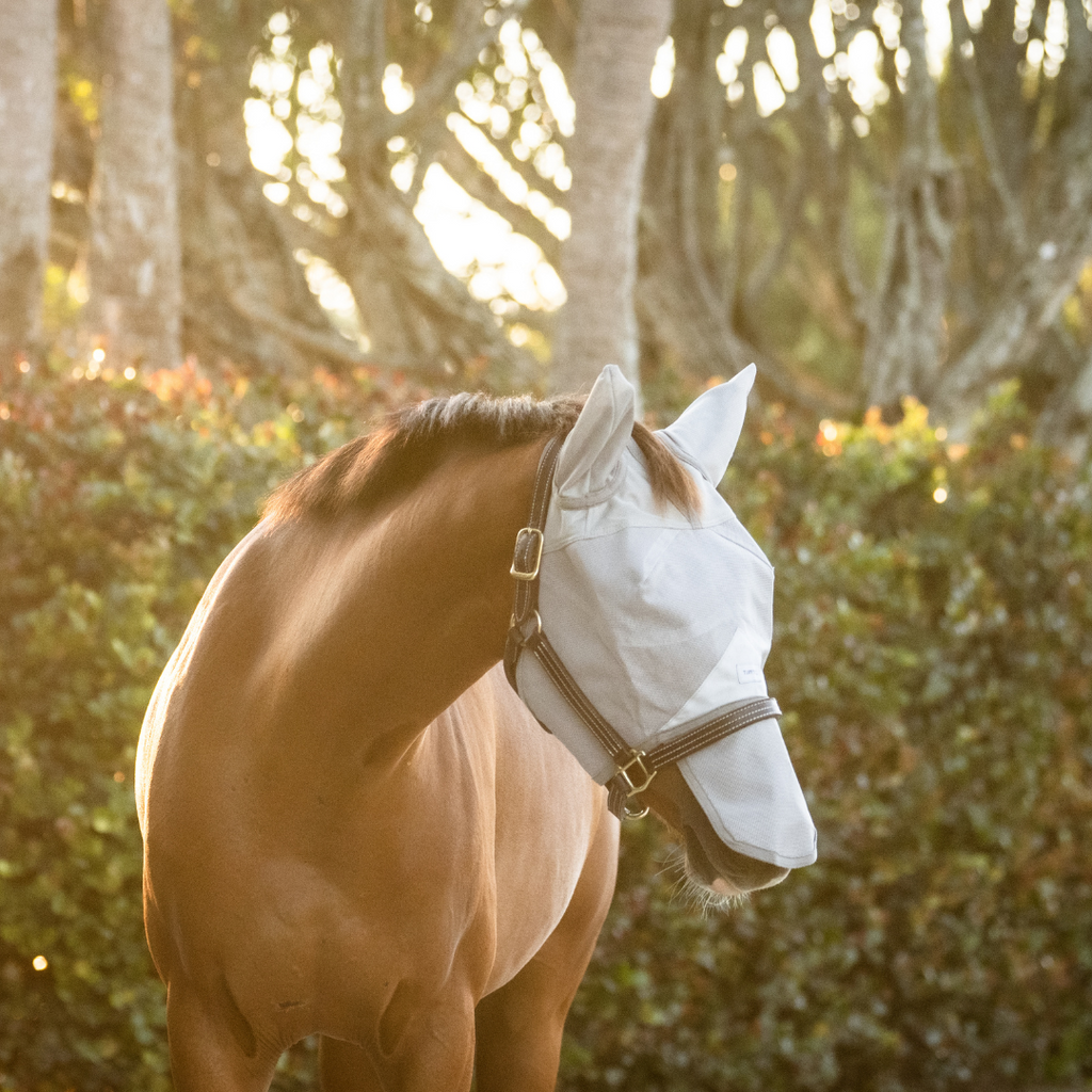 Comfortable horse mask with ears and sun-protective nose guard