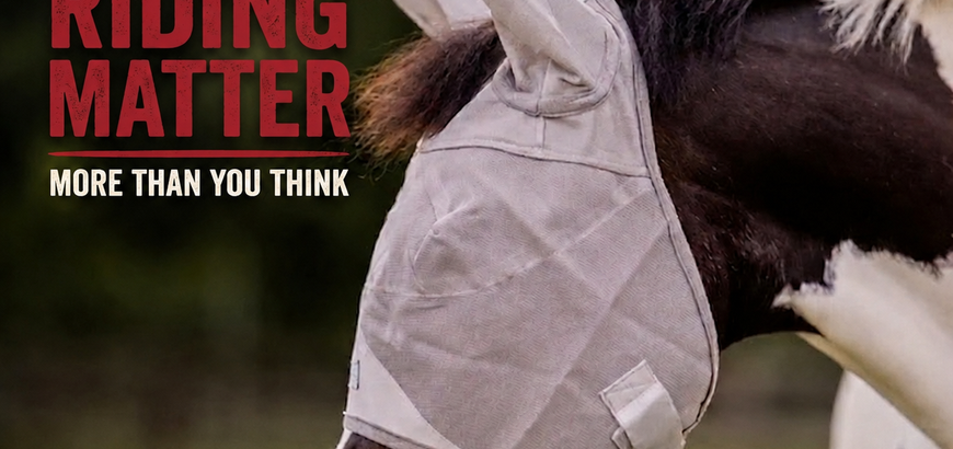 Why a Horse Visor for Riding Matters More Than Most Riders Realize