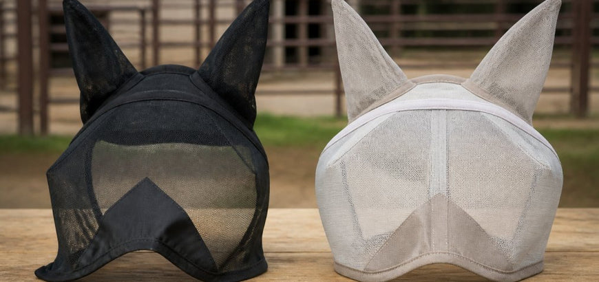 Cashel vs Kensington Fly Mask: Which Protects Better