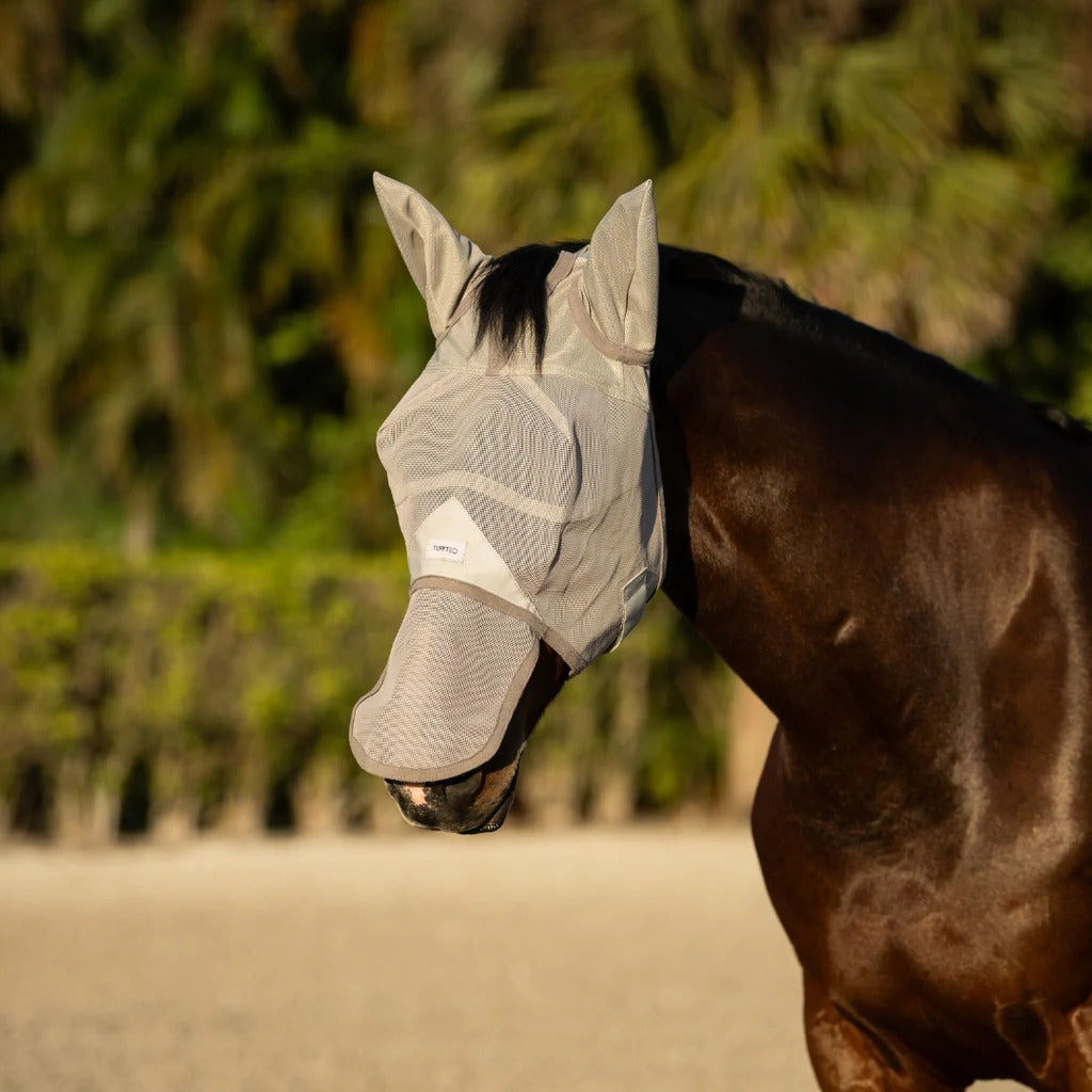 Best Horse Eye Injury Protection Fly Mask Features to Look For