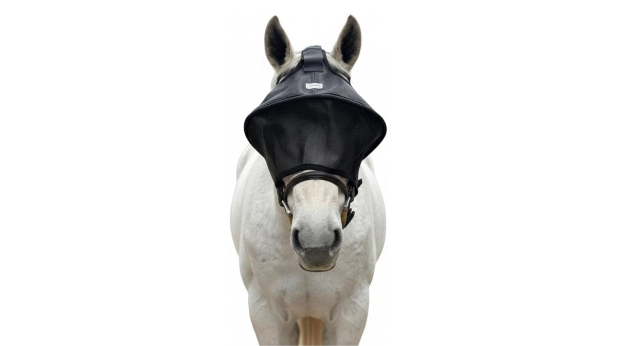 How to Prevent Horse Eye Sunburn: Complete Protection Guide