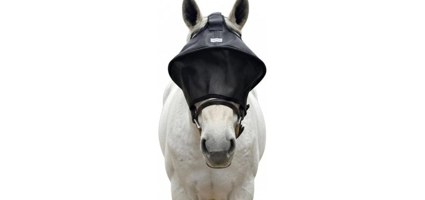 How to Prevent Horse Eye Sunburn: Complete Protection Guide