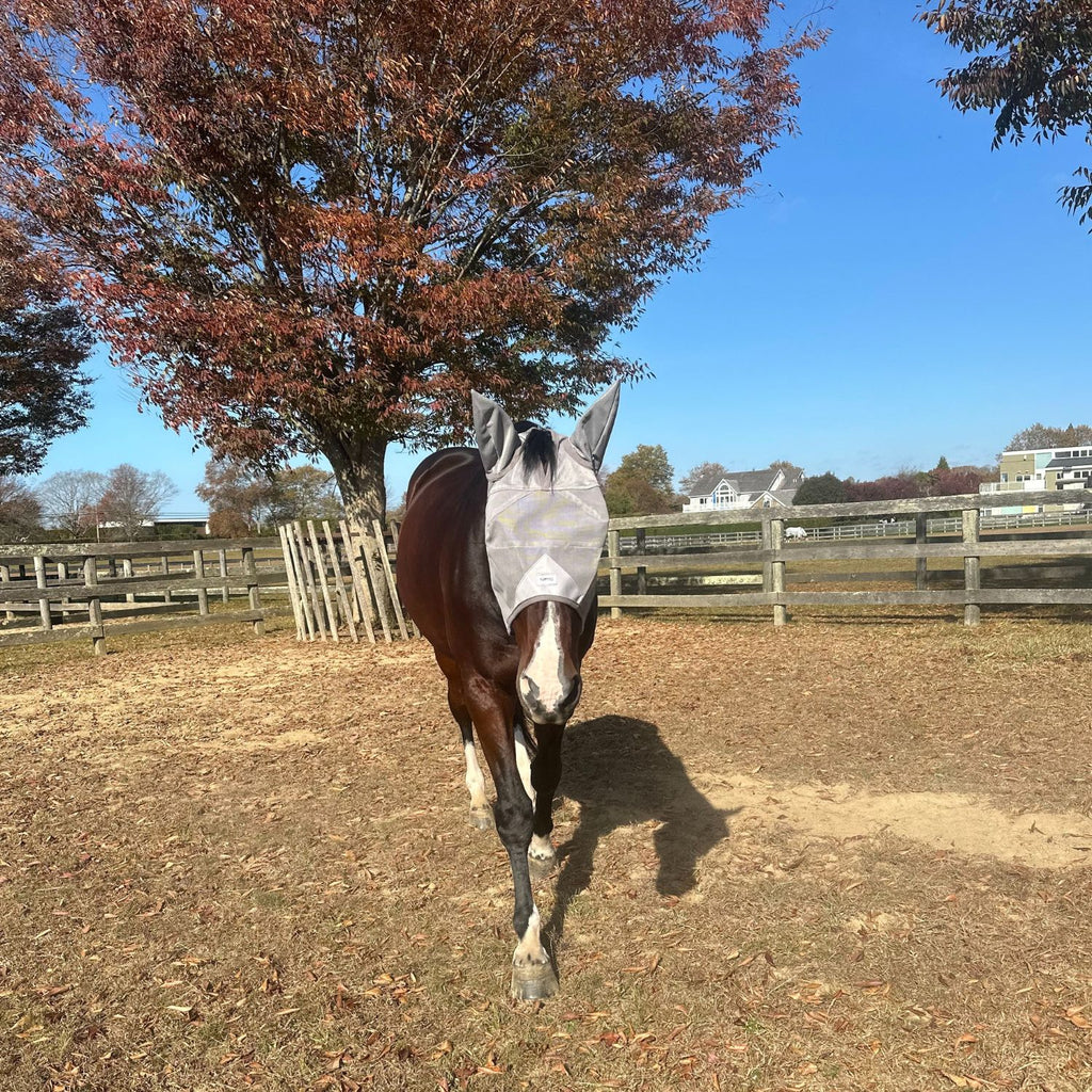 TUFFTEQ Cob/Large Pony Visor Fly Mask With Ears – 95% UV Eye Protection, Breathable & Durable Mesh