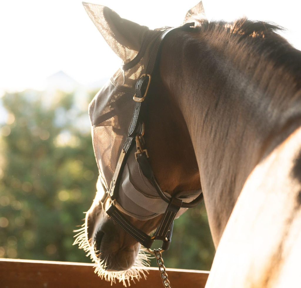 TUFFTEQ Horse Visor Fly Mask With Ears – Plus Size | Built-In UV Visor, Fly Protection, Breathable & Adjustable Secure Fit