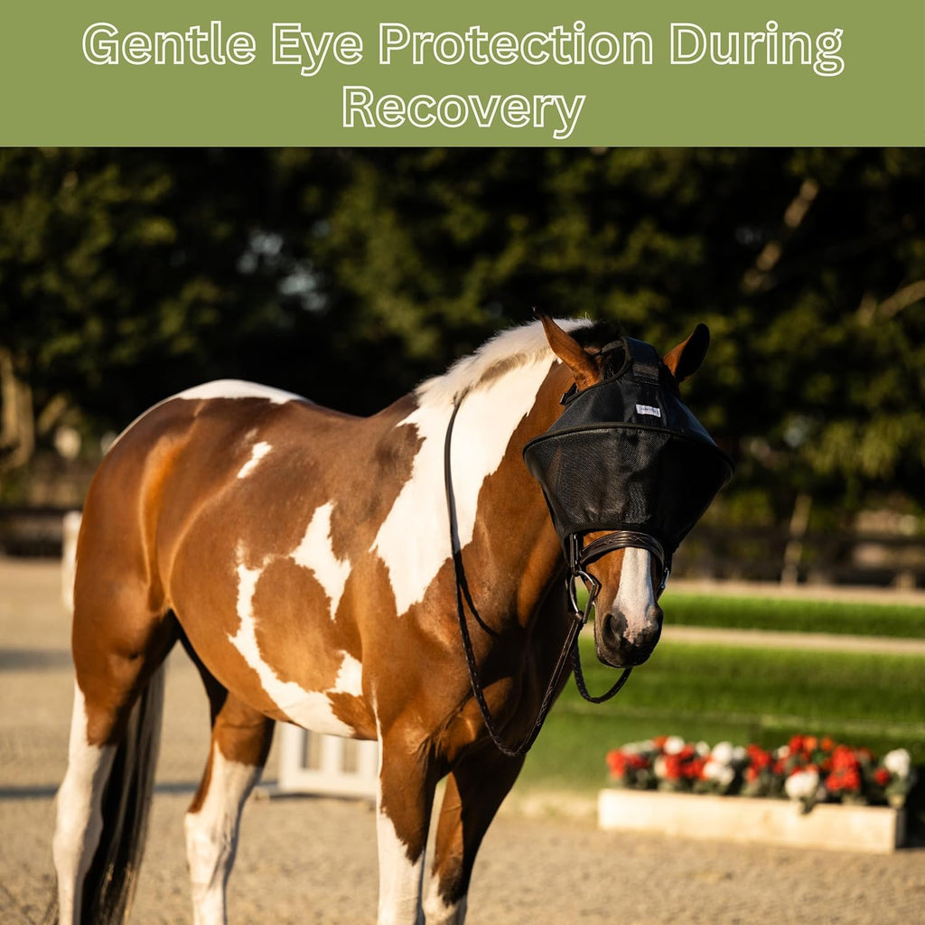 TUFFTEQ 100% UV Eye Protection – Horse Fly Mask Visor for Riding & Recovery, Reinforced Built-in UV Shield, Adjustable Fit, Breathable, Attaches to Halter or Bridle