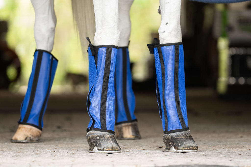 Horse fly boots designed to retain their shape during outdoor use, offering reliable defense against flies and pests, with a built-in hanging hook for easy storage.