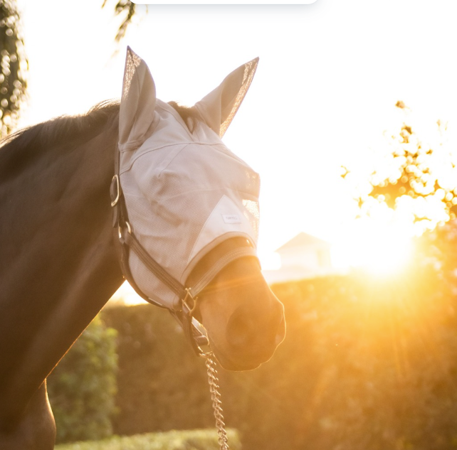 TUFFTEQ Horse Visor Fly Mask With Ears – Plus Size | Built-In UV Visor, Fly Protection, Breathable & Adjustable Secure Fit