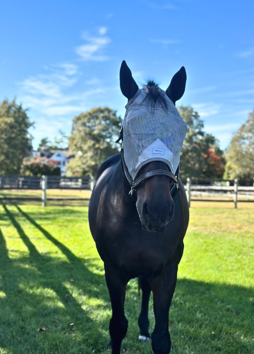 Breathable Horse Fly Mask