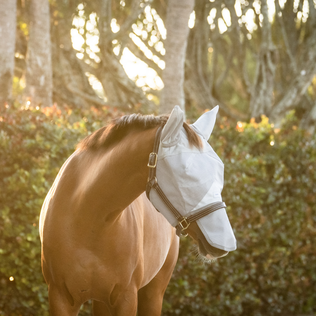 Horse Fly Mask with Nose & Ears Covers