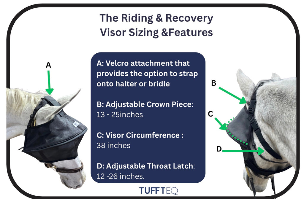TUFFTEQ Riding/ Recovery Visor | Horse Size – Adjustable | Built-In UV Protection, Breathable, Straps to Halter or Bridle